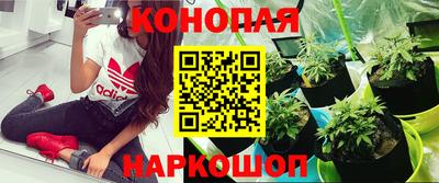 не бодяженный Гуково