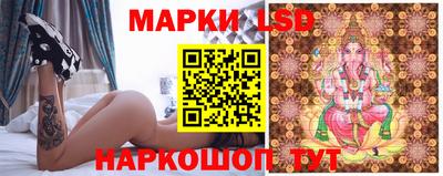 гашик Дмитров