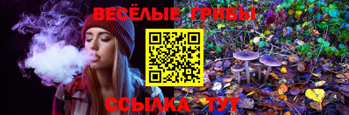 Галлюциногенные грибы Cubensis Ржев