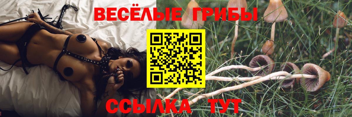 ЭКСТАЗИ  Ржев  COCAIN  МЕФ   Конопля  ГАШ  Вход с VPN 