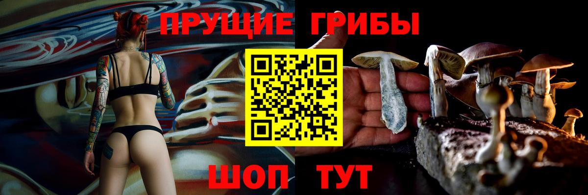 Галлюциногенные грибы MAGIC MUSHROOMS  Галлюциногенные грибы Magic Shrooms  Вход с VPN  Ржев 