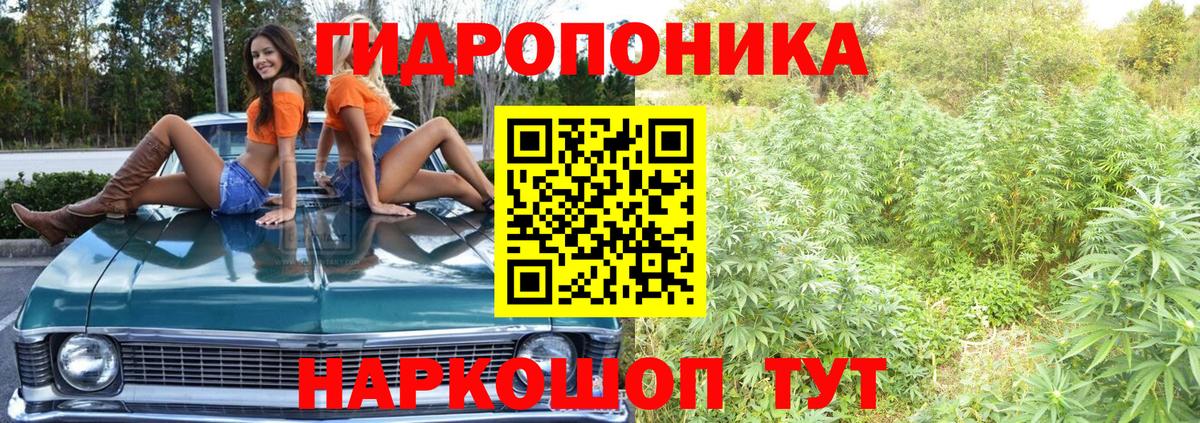 Бошки марихуана LSD WEED  Вход с VPN  Бошки Шишки планчик  Бошки марихуана LSD WEED  Ржев 